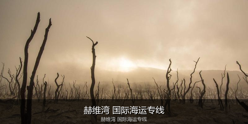 2024年中国到澳大利亚海运价格走势分析